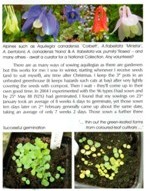Aquilegia flower: Touchwood feature in 'The Rock Garden', magazine of the Scottish Rock Garden Club, Spring 2012